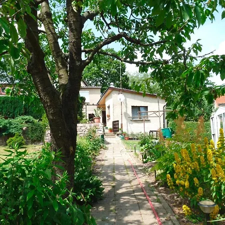 Apartment In Mueritz